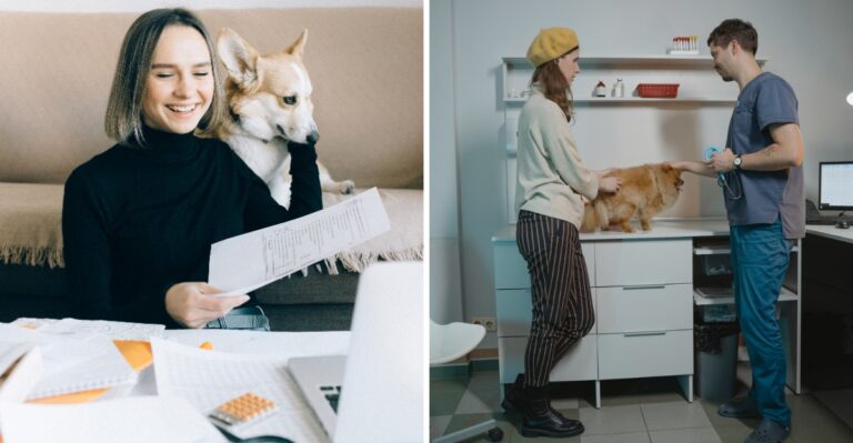 Rural New York Dog Owners Need A Different Specialty-Vet Plan Than City Owners