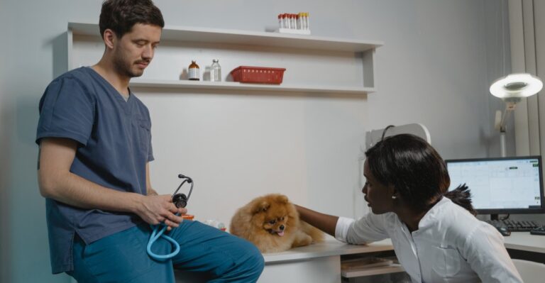Rural Ohio Dog Owners Need A Different Specialty-Vet Plan Than Owners Near Major Cities