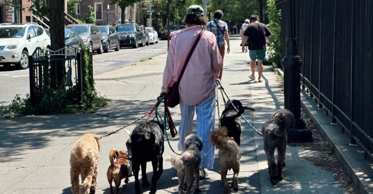 How A Georgia Dog Walker’s Midday Route Changes Once Humidity And Afternoon Storms Set In