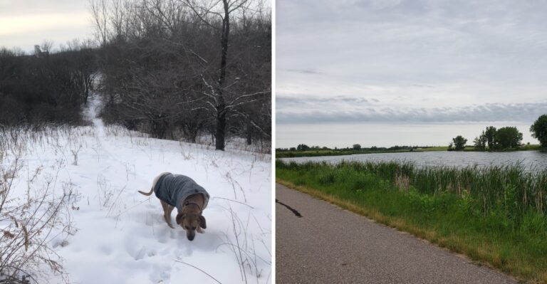 17 Minnesota Rail Trails For Dog Walks Across Prairie And Forest
