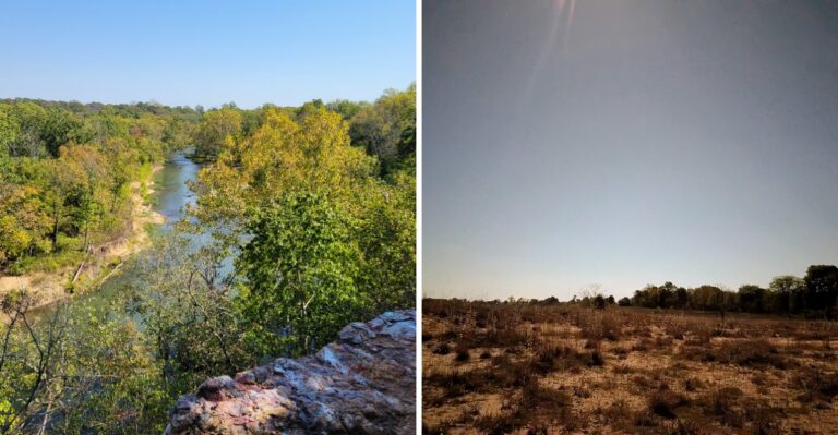 11 Missouri Prairie And Glade Walks For Dogs That Prefer Open Terrain