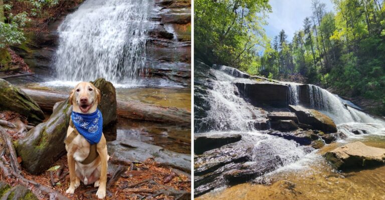 20 Georgia Waterfall Routes Where Leashed Dogs Can Join The Hike