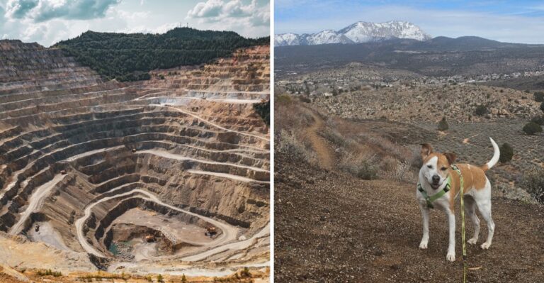 What Colorado Dog Owners Should Know About Abandoned Mine Openings And Tailings