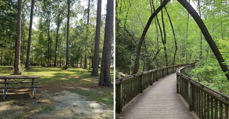 16 Dog-Friendly Alabama Campgrounds From The Tennessee Valley To The Gulf Plain