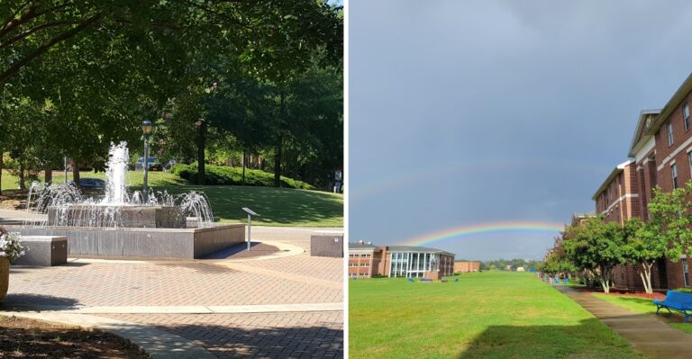 15 Georgia College Campuses With Outdoor Paths Open To Leashed Dogs