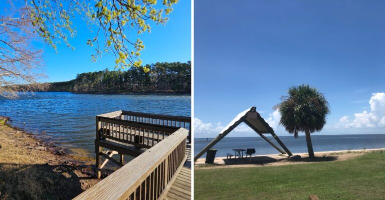 18 Louisiana Lakeside Picnic Areas For Easy Days With Your Dog