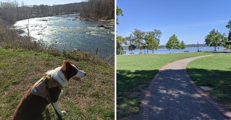 16 Virginia Canal And Riverfront Promenades For Easy Walks With Your Dog