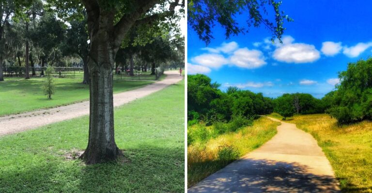 18 Texas Paved Paths That Work For Senior Dogs And Strollers