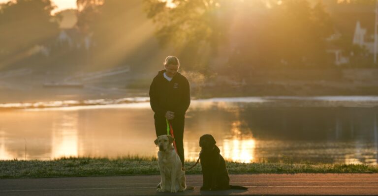 Moving From Coastal California To An Inland Climate Changes A Dog’s Routine Faster Than Many Owners Expect