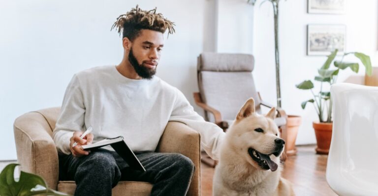 18 Illinois Lease Documents And Dog Records Chicago Renters Should Gather Before Apartment Hunting