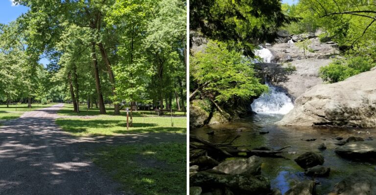 15 Western Maryland Campgrounds With Dog-Friendly Trails Near The Site