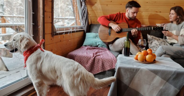 18 Questions Michigan Cottage Owners Should Answer Before Adopting A Dog