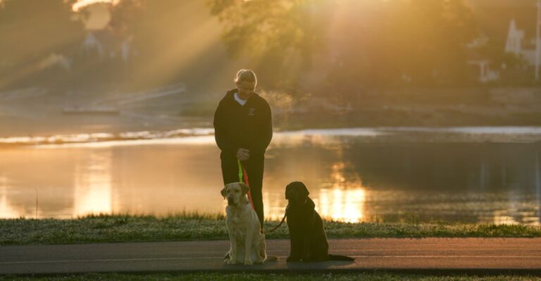 How A Texas Dog Walker’s Midday Schedule Can Look Completely Different In Houston And Amarillo