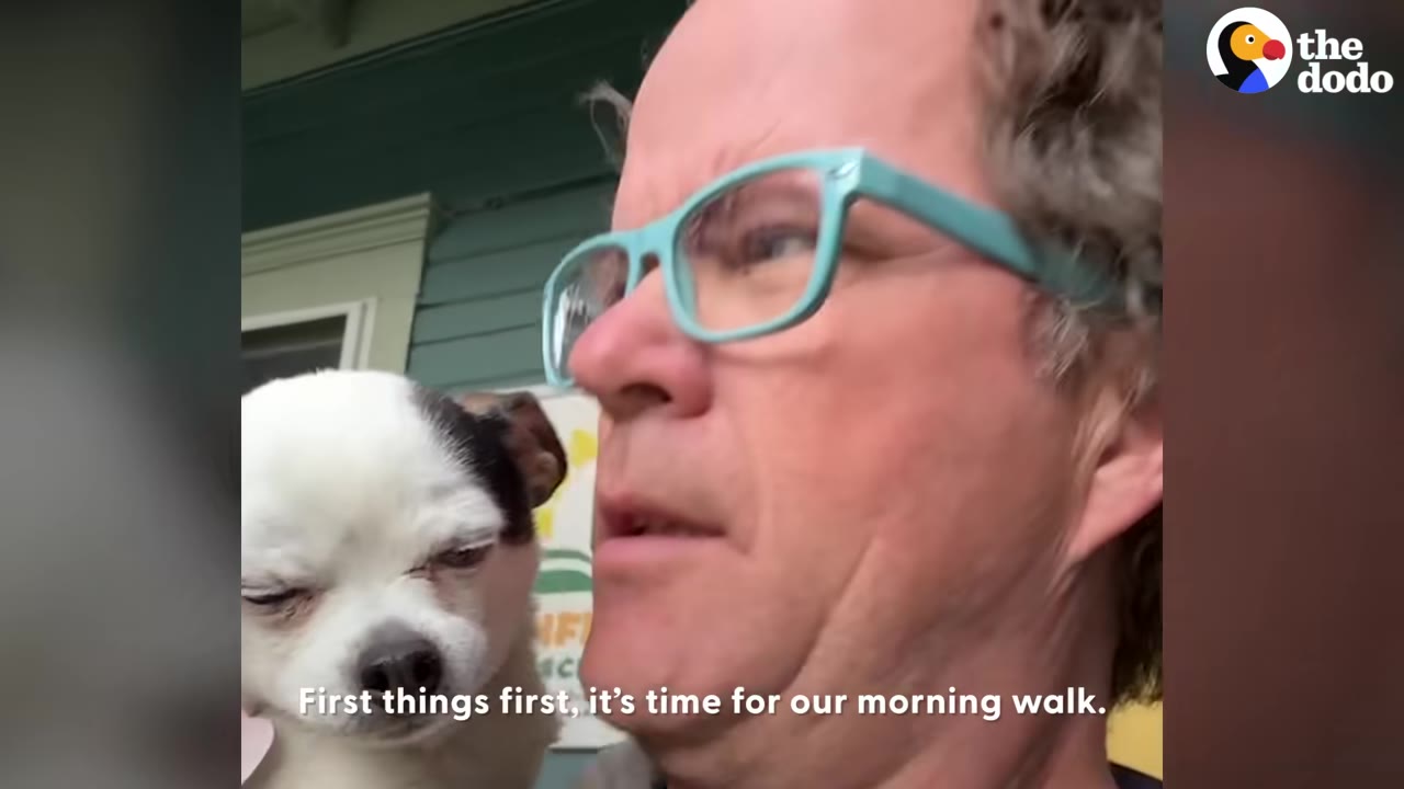 A man wearing light blue glasses holds a small black and white Chihuahua on a porch, with text overlay reading 'First things first, it's time for our morning walk.'