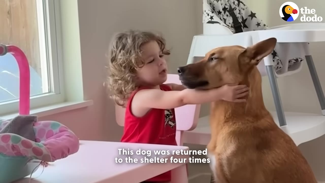 A young child with curly hair hugs a brown dog around the neck, with text overlay reading 'This dog was returned to the shelter four times'.