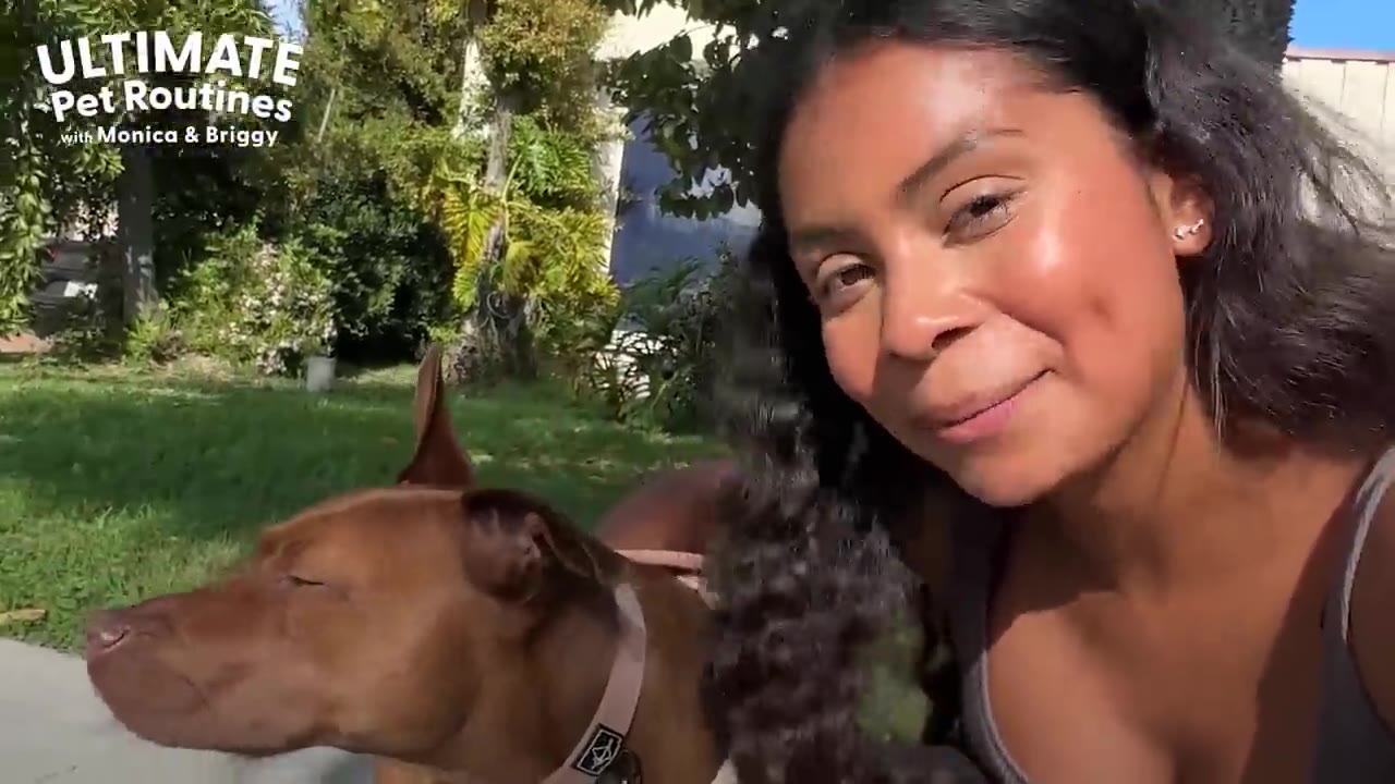 A smiling woman with long dark hair stands next to her brown dog outdoors on a sunny day.