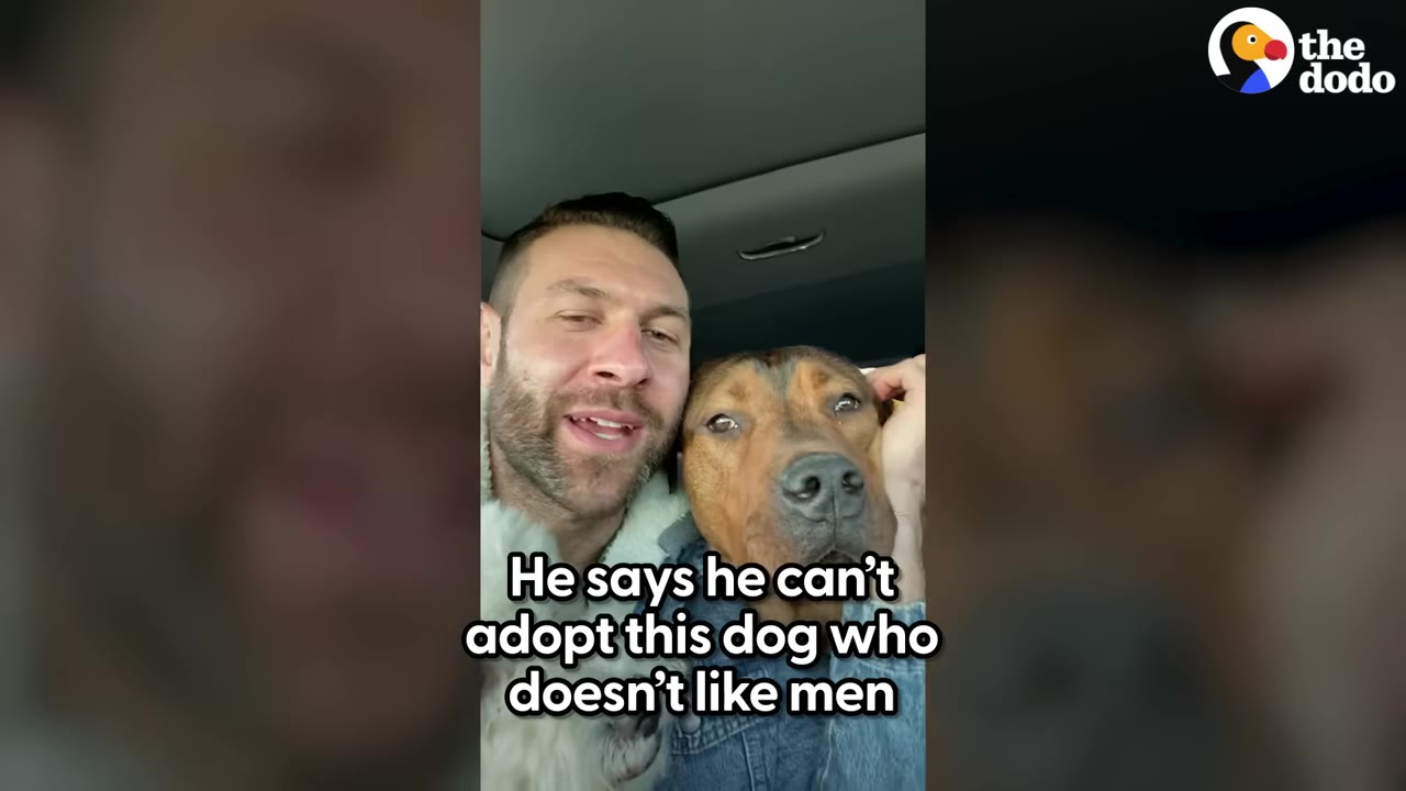 A man sitting in a car alongside a brown dog while talking to the camera.