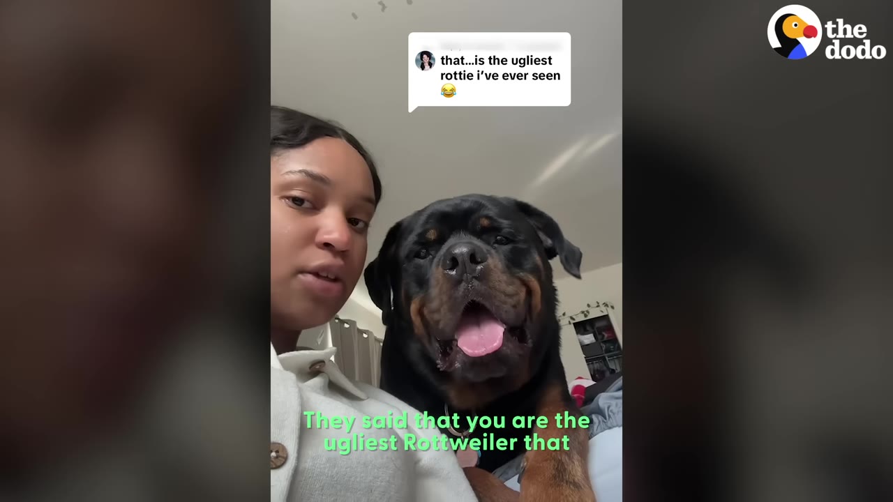 A woman sits beside a smiling Rottweiler next to an overlay showing a mean social media comment.