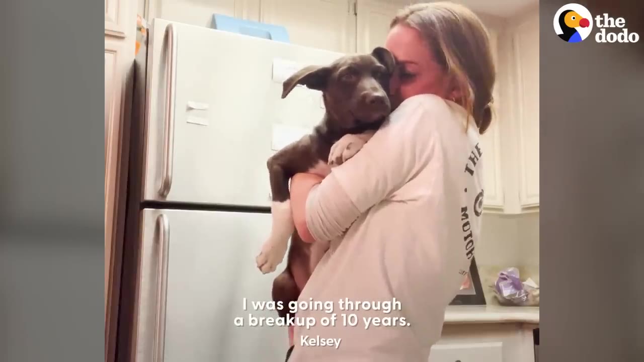A woman holding a brown and white puppy in a kitchen, embracing it closely.