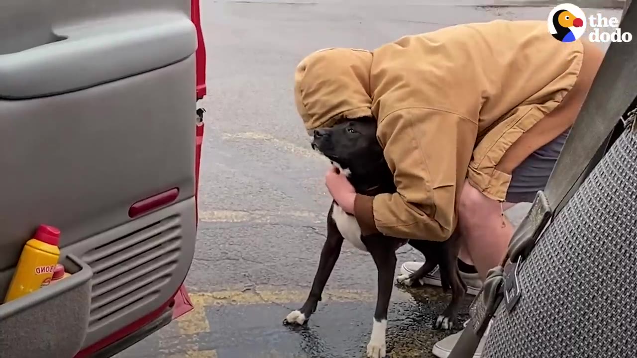A person in a tan hooded jacket leaning down to hug a black and white dog in a wet parking lot beside an open vehicle door.
