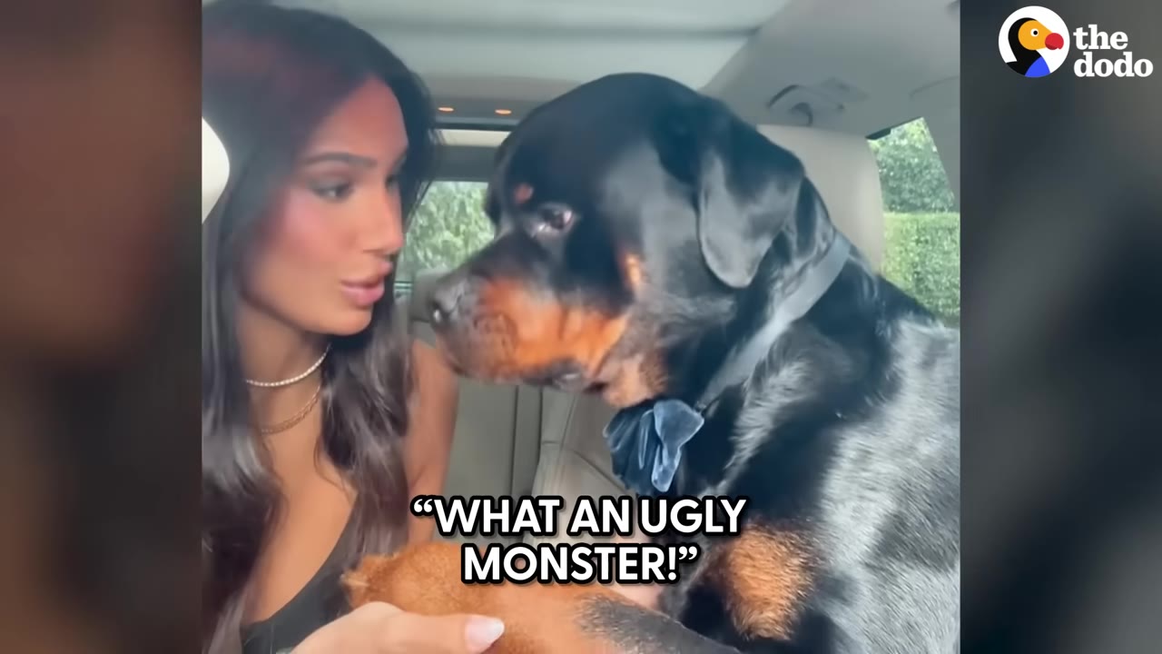 A woman looks sadly at a Rottweiler dog wearing a blue bow tie inside a car, with text overlay reading 'WHAT AN UGLY MONSTER!'