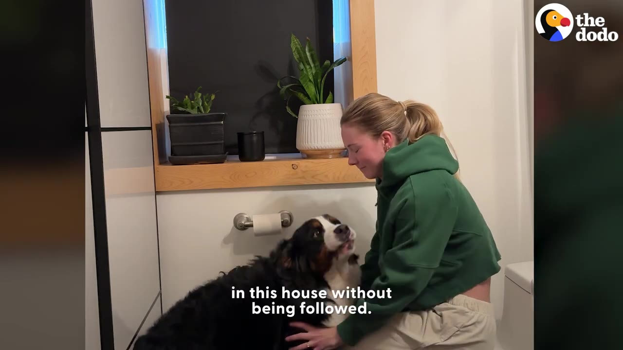 A woman in a green sweatshirt sitting and petting a fluffy black, white, and brown dog indoors.