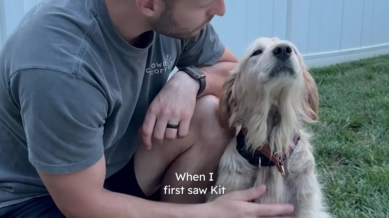 A golden retriever dog with squinted, dull eyes sits next to a man who is gently petting her chest.