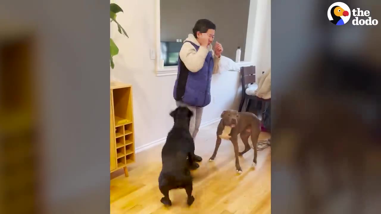 A woman reacts nervously as two dogs move around her inside a house.