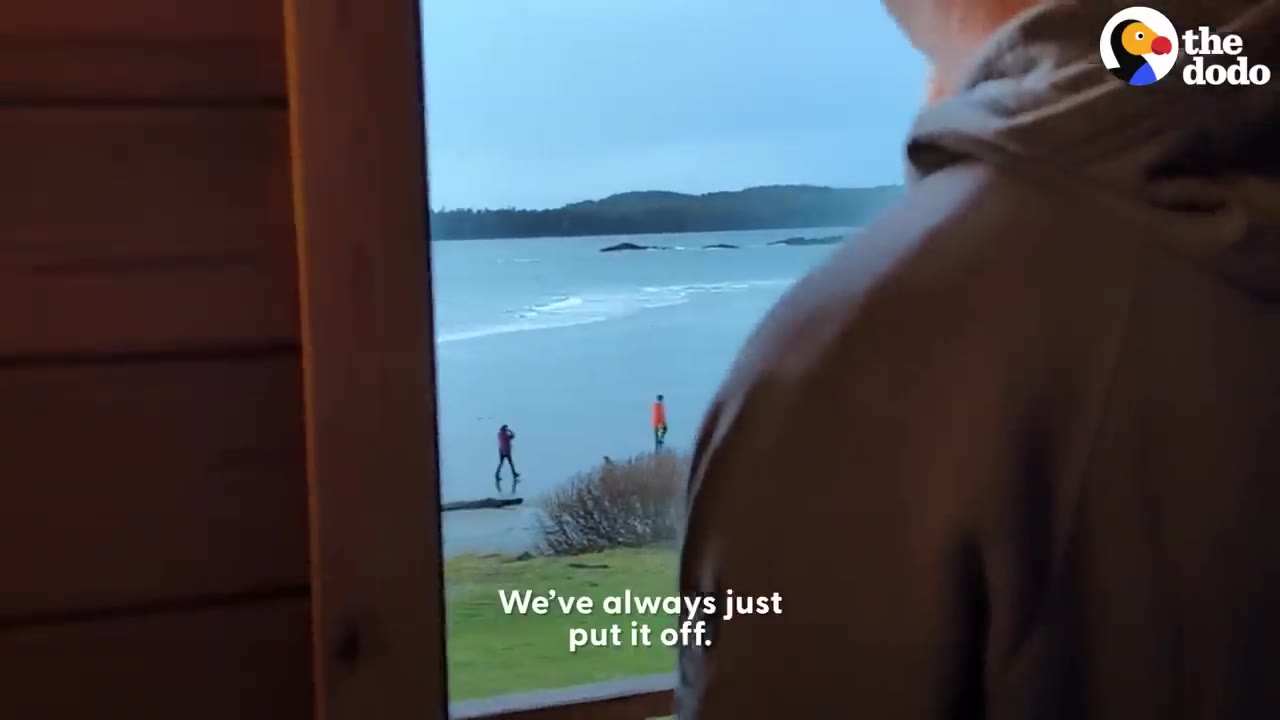 A person looking out a window towards people walking along a beach in the distance.