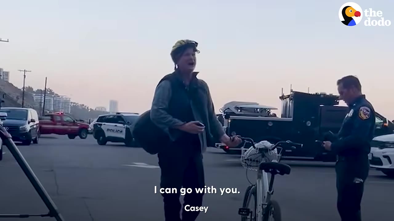 A person standing with a bicycle talking to an officer near police vehicles on a street.