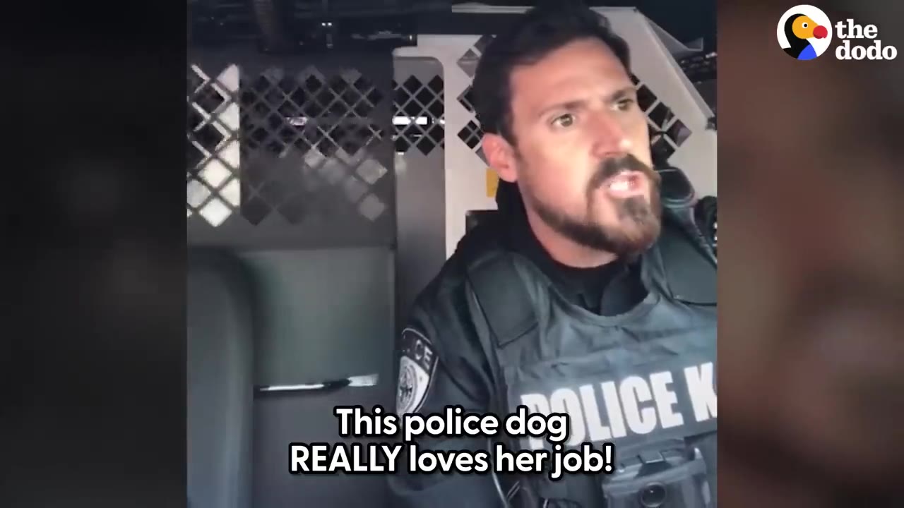 A police officer in a tactical uniform sitting inside a police squad car.