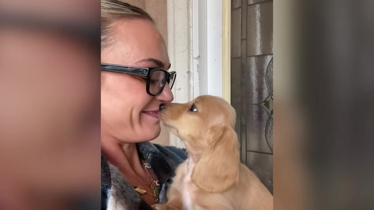 A woman wearing glasses holds a small golden dachshund puppy close to her face while the puppy touches its nose to hers.