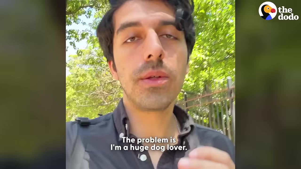 A close-up of a man speaking directly to the camera outdoors with trees in the background, with the subtitle 'The problem is I'm a huge dog lover.'