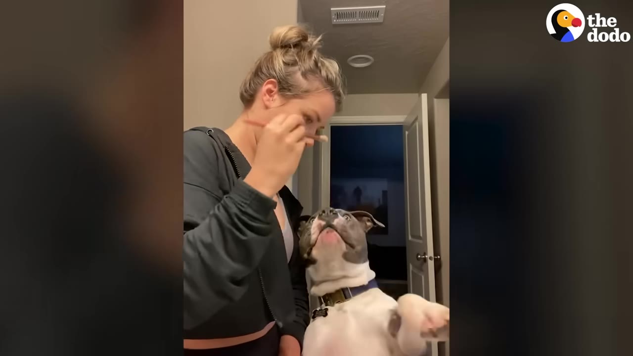 A woman applying makeup with a makeup brush while her pit bull stands directly next to her looking up into her face.