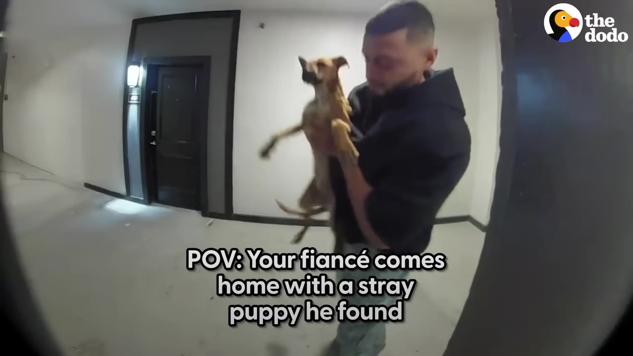 A home security camera view showing a man holding a small brown dog in an apartment hallway.