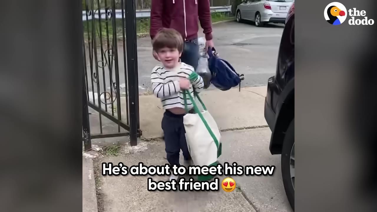 A young boy in a striped shirt and dark pants walks down a sidewalk carrying a white and green tote bag, looking forward with a skeptical expression.