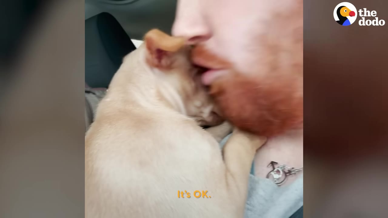 A man with a red beard rests his chin against a small tan puppy held close to his chest.