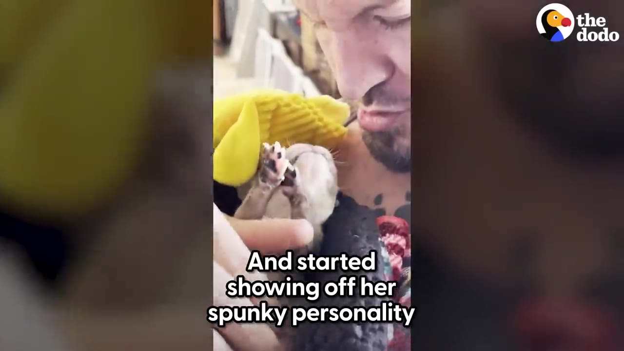 A tiny puppy held close to a man's face with her little paws raised toward him.