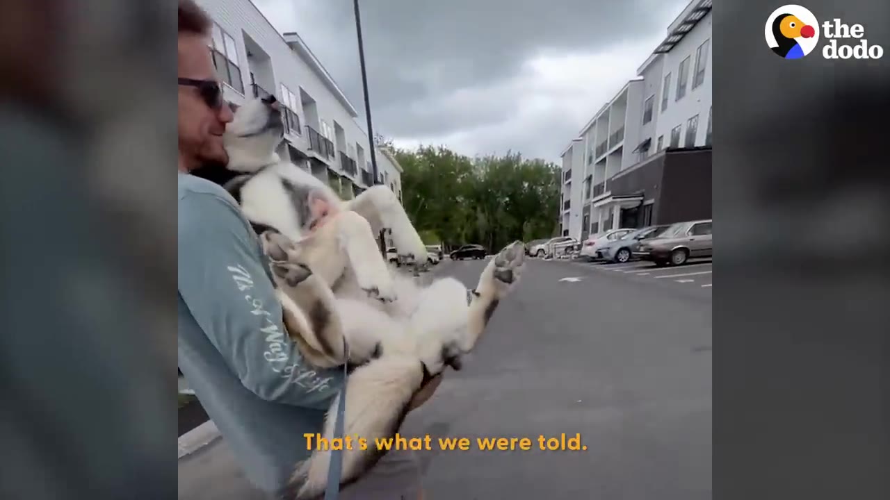A man carrying a husky-type dog in his arms outside an apartment complex.