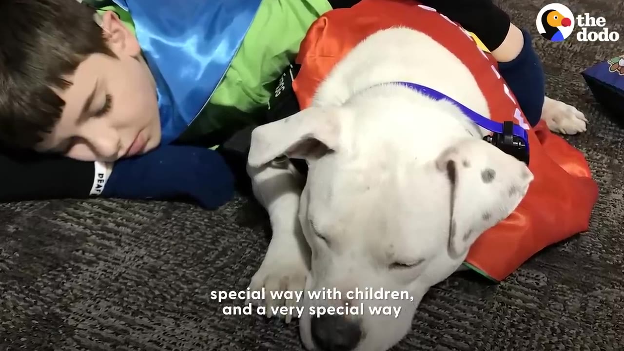 A young boy lies sleeping on a carpet beside a white dog resting its head.