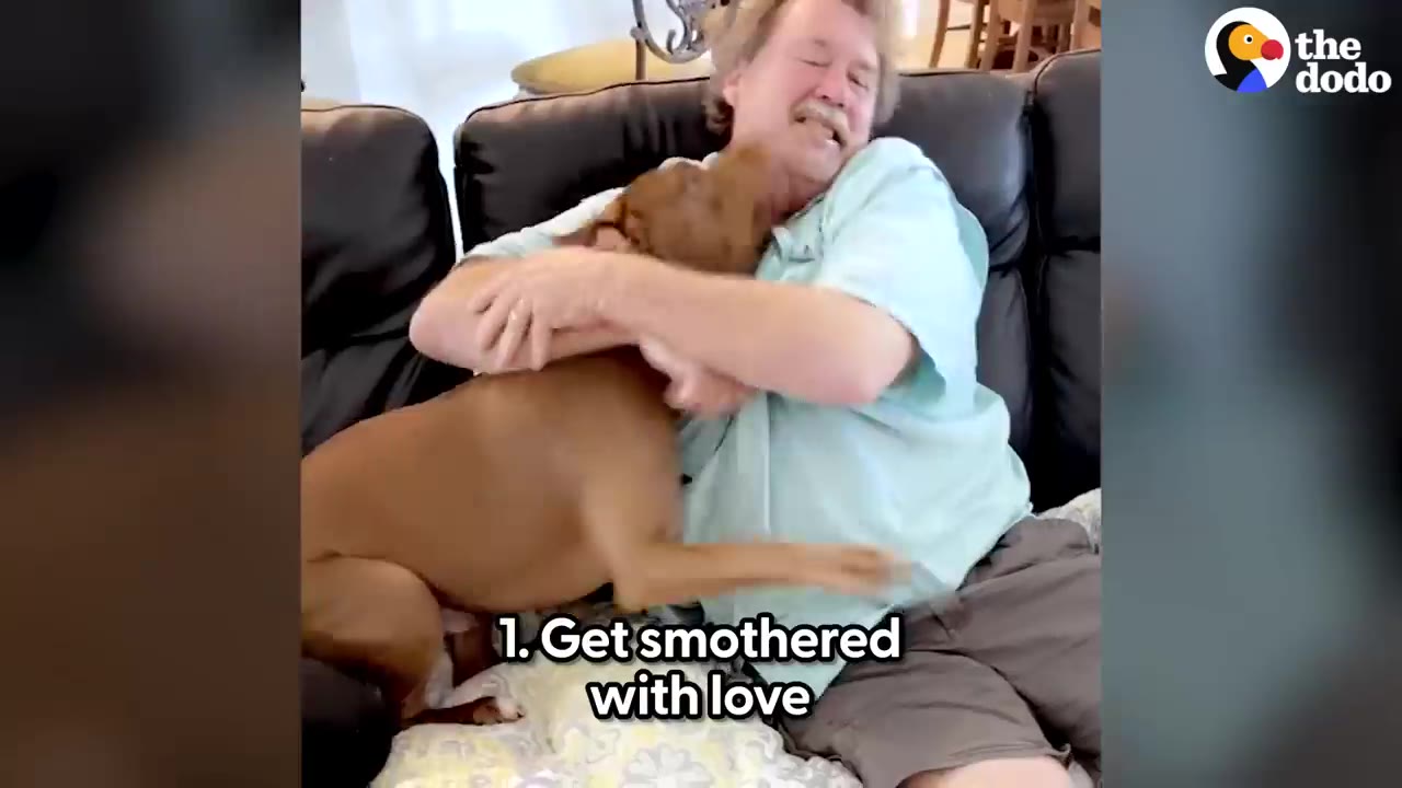 A brown dog eagerly climbs onto a couch to hug a smiling man who is embracing him warmly.