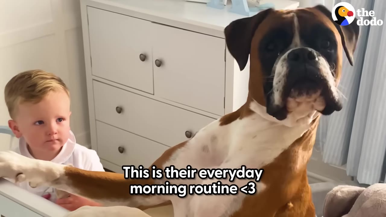 A brown and white boxer dog leaning over a white crib next to a young toddler.