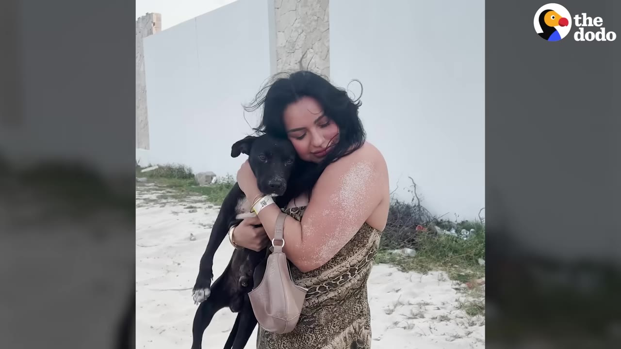 A woman warmly hugging a small black dog outdoors.