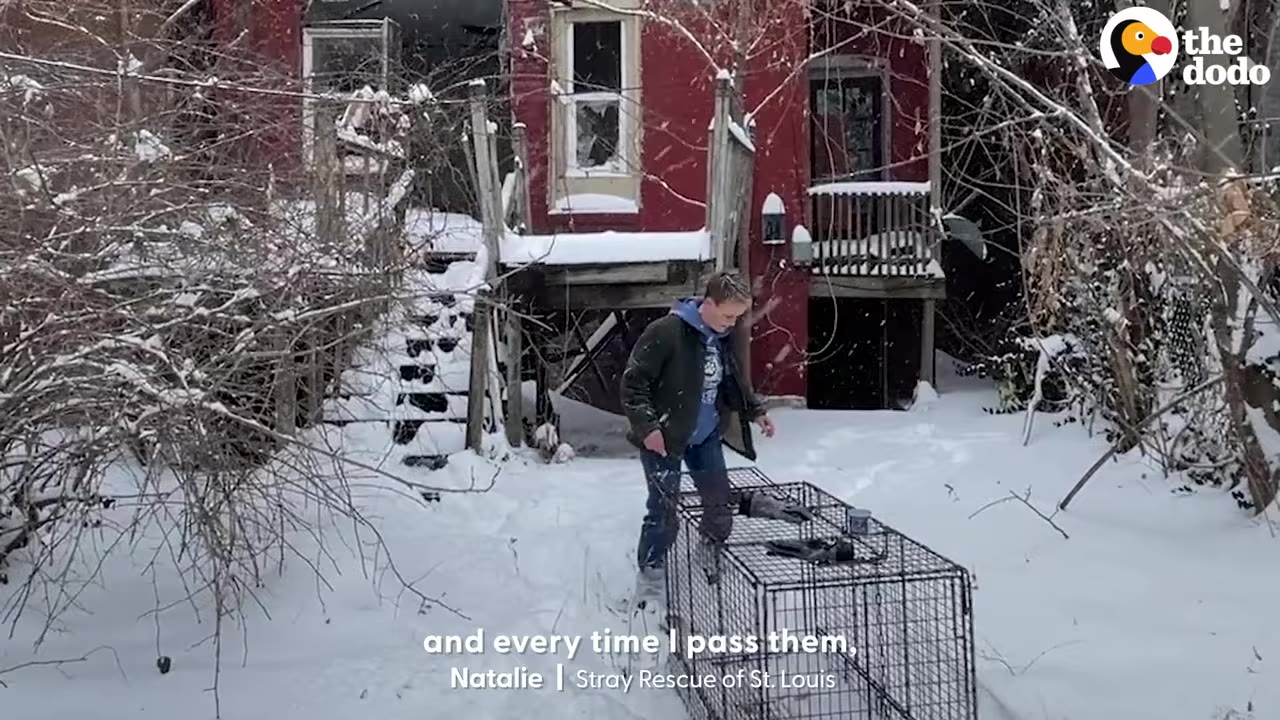A rescuer standing in deep snow outside a dilapidated red house with a wire animal trap during winter.