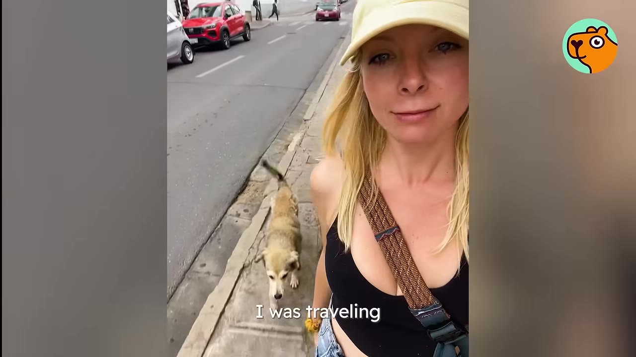 A woman taking a selfie while walking along a city sidewalk with a tan stray dog following closely behind her.