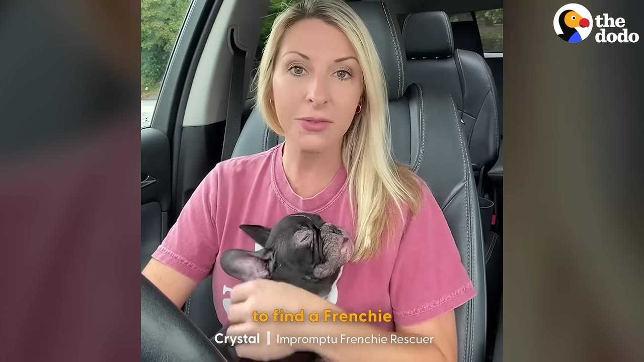 A blonde woman in a pink t-shirt sits in the driver's seat of a car, holding a small black French bulldog in her lap while looking directly at the camera.