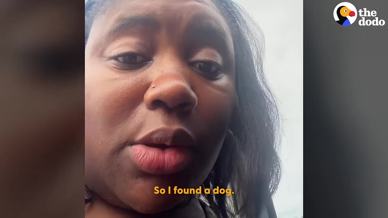 A close-up of a woman's face with the subtitle 'So I found a dog.'
