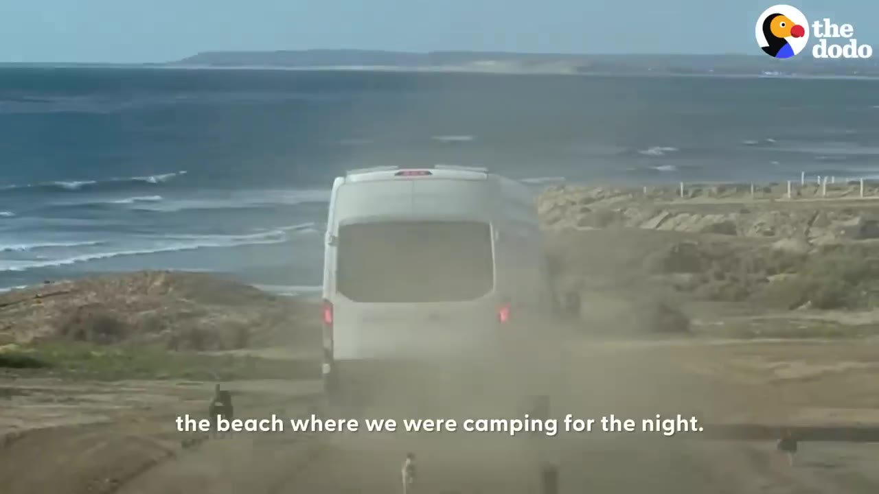 A white camper van drives along a dusty coastal road near the ocean.