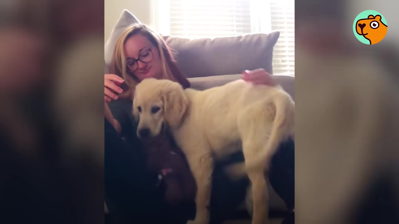 A woman wearing glasses sitting on the floor by a sofa, gently petting a light golden retriever puppy standing near her.