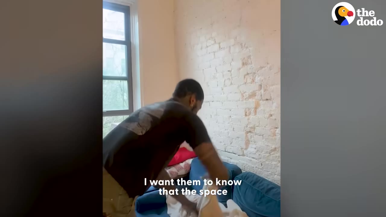 A man arranging blankets on a blue sofa inside an apartment room with an exposed white brick wall.